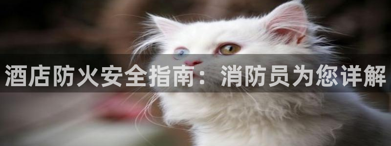 凯发移动版