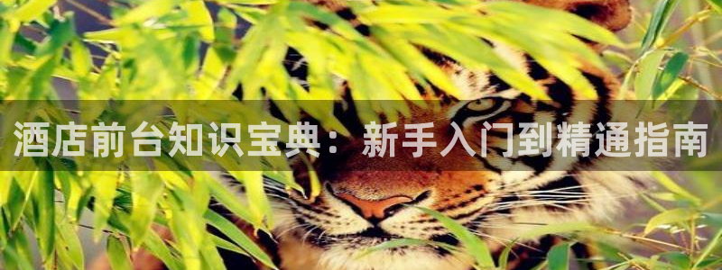 凯发国际官网